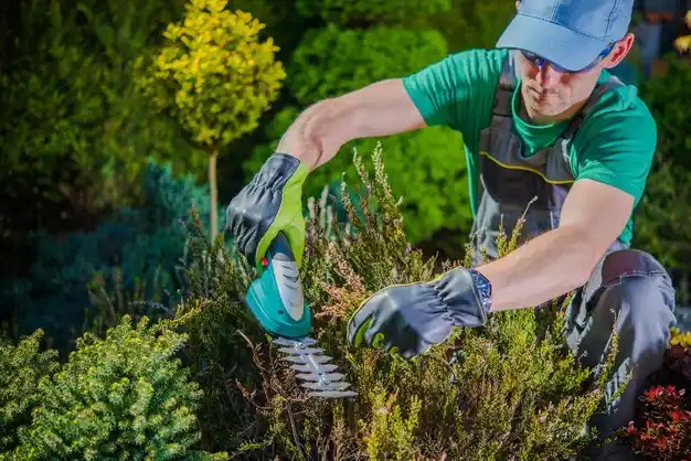 landscaping services Northport